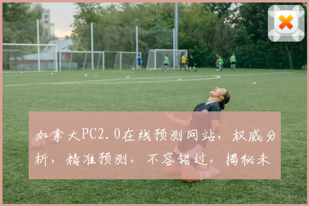 加拿大PC2.0在线预测网站，权威分析，精准预测，不容错过，揭秘未来