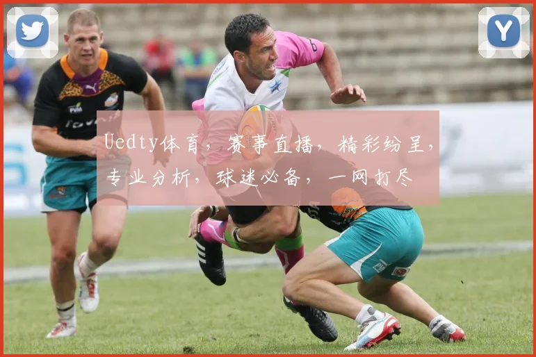 Uedty体育，赛事直播，精彩纷呈，专业分析，球迷必备，一网打尽