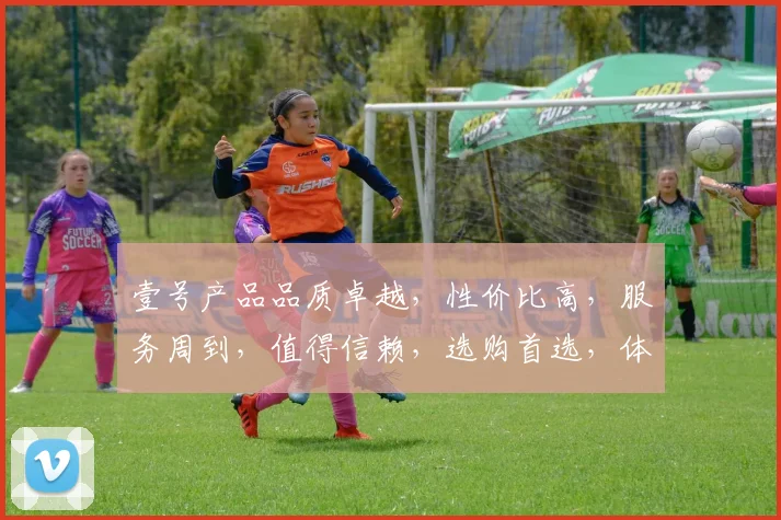壹号产品品质卓越，性价比高，服务周到，值得信赖，选购首选，体验非凡。