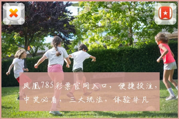凤凰785彩票官网入口，便捷投注，中奖必看，三大玩法，体验非凡